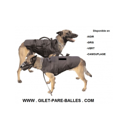 Gilet pare balles pour chien - Niveau IIIA